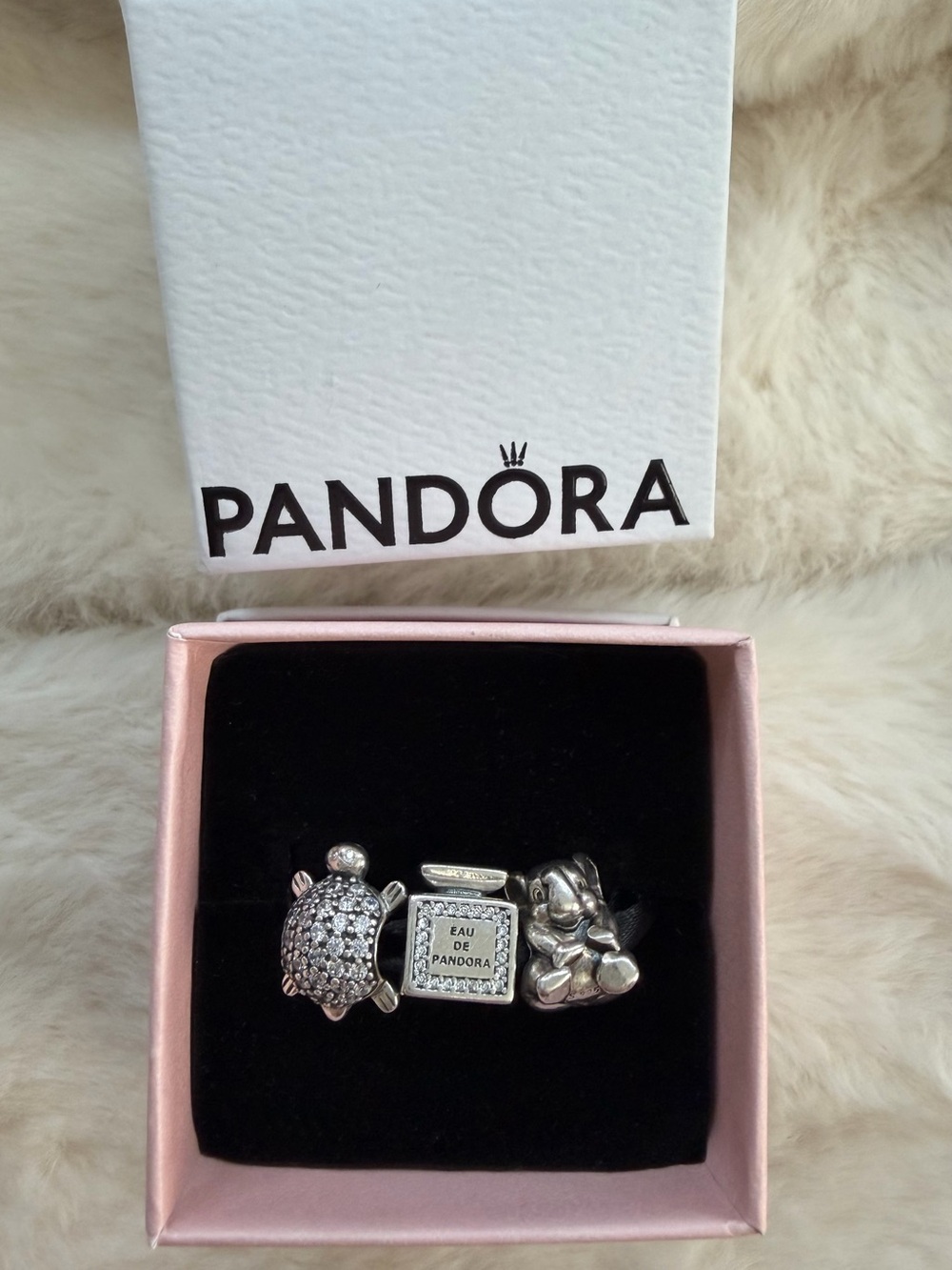 Pandora Charm Bundle